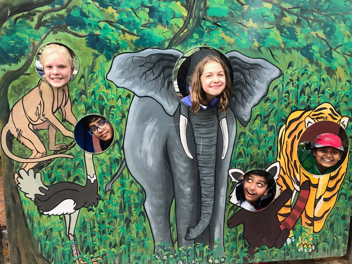 TBS Year 7 tweet media