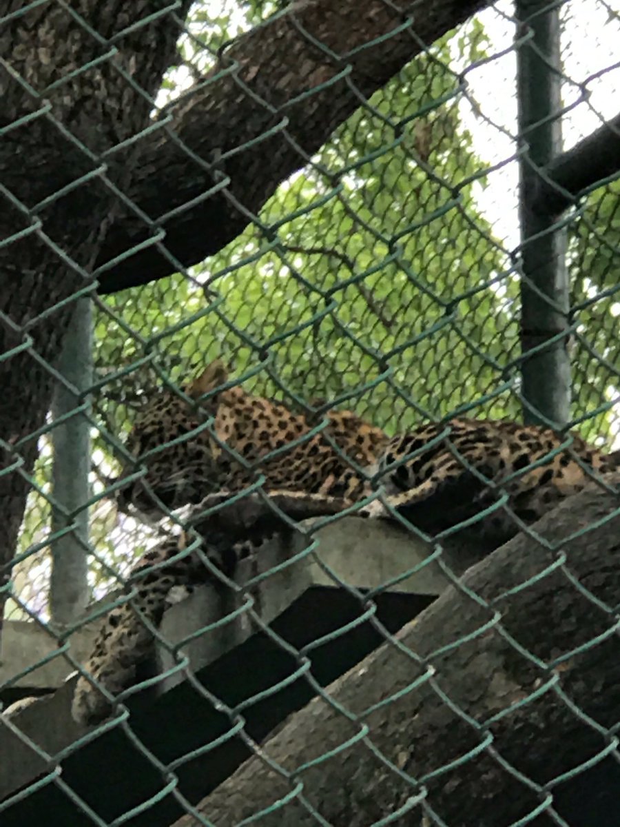 TBS Year 7 tweet media