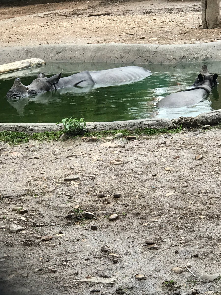 TBS Year 7 tweet media