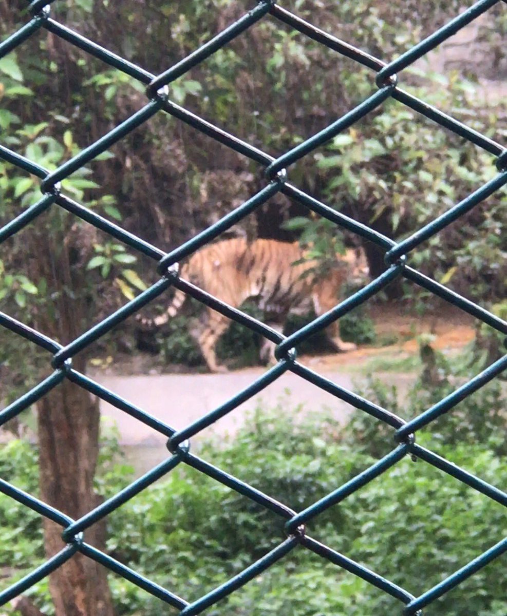 TBS Year 7 tweet media