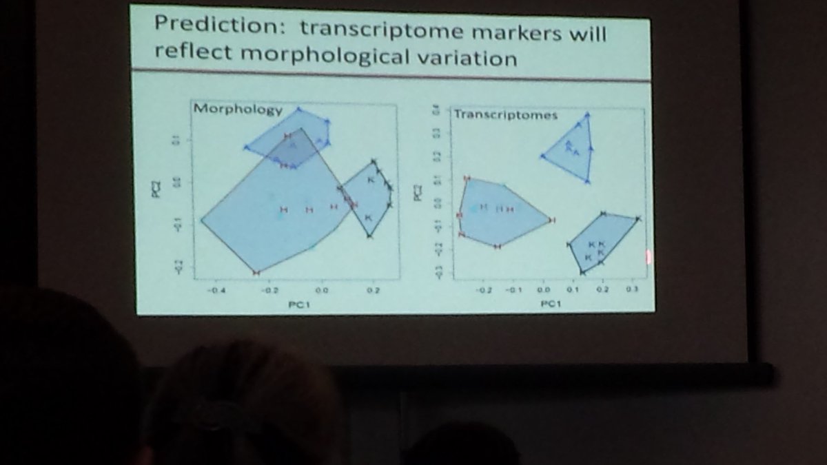 Etheostomatt's tweet photo. A really nice set of talks on coregonid genetics this morning at #IAGLR2017. https://t.co/XyH2M8ZI8i