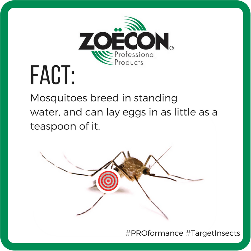 ZoeconCentralLS's tweet image. #PestControl Tip: Source reduction is key to #mosquito control. #TargetInsects #PROformance