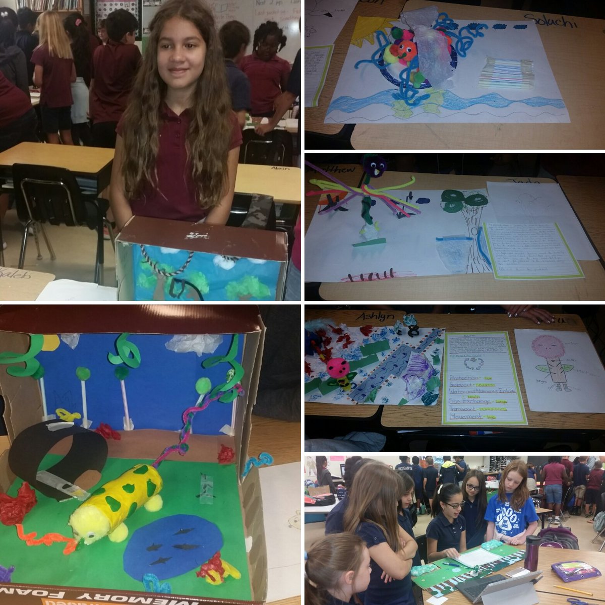 MrsDelgado5th's tweet photo. Thank you 5th grade for sharing your "Planimal Palooza" projects! 🌍🐯 @TurnerBartelsK8 @MrsCollinet @mrsvandegriek #5thGradeRocks https://t.co/yitxTI0kys