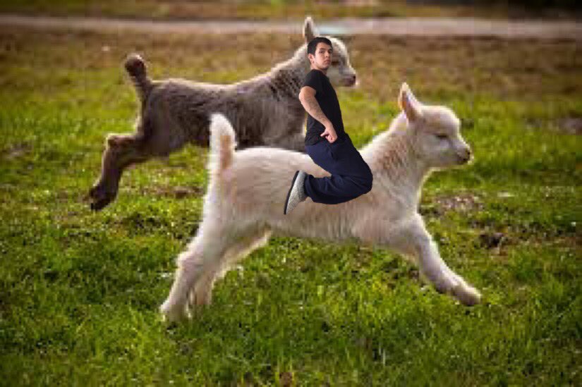 Eddywolf_'s tweet photo. " old spice " https://t.co/LMUoYgg37O