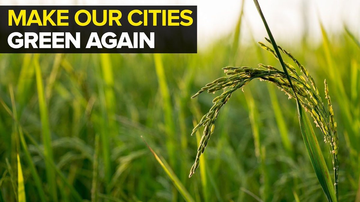 thebetterindia's tweet photo. iKheti is helping Mumbaikars grow their own food through Urban Farming. 
https://t.co/z2f5OZTwx7 https://t.co/xaNLinBnad