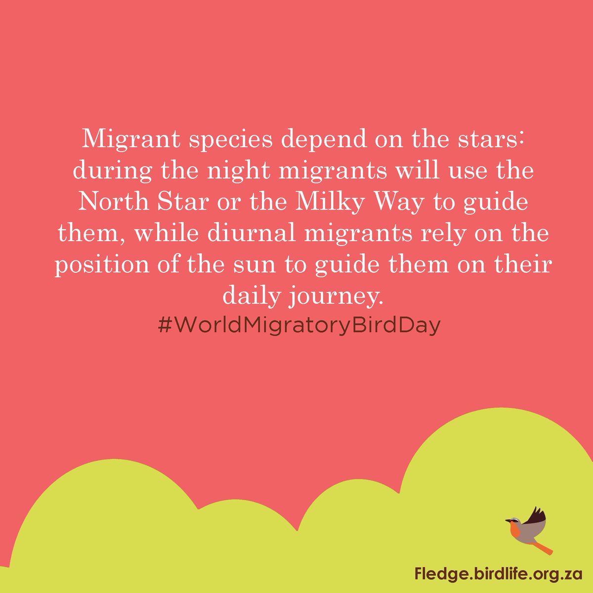 Fledge_SA's tweet image. #31DayChallenge #Day17