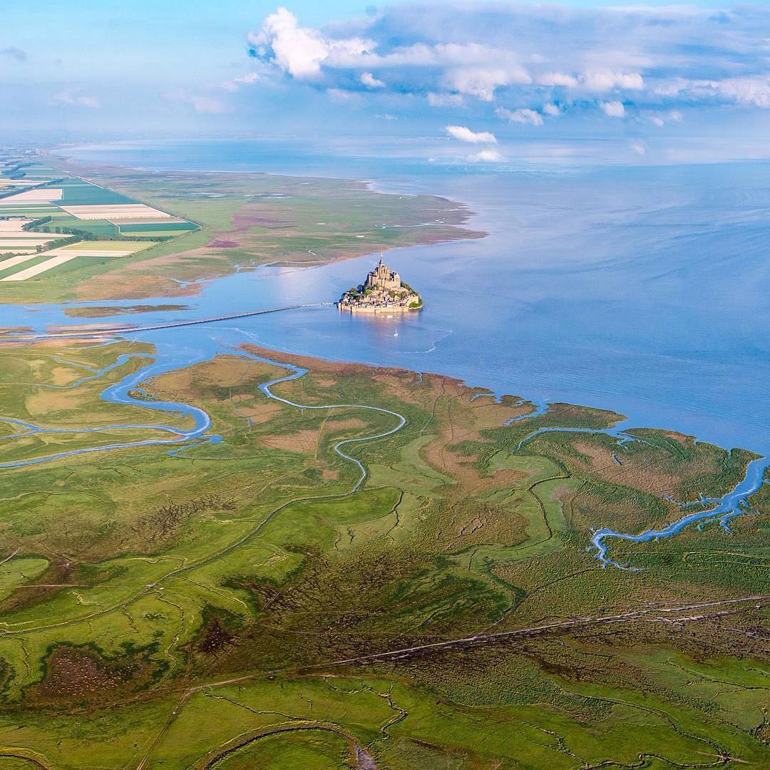 Savoteur tweet media