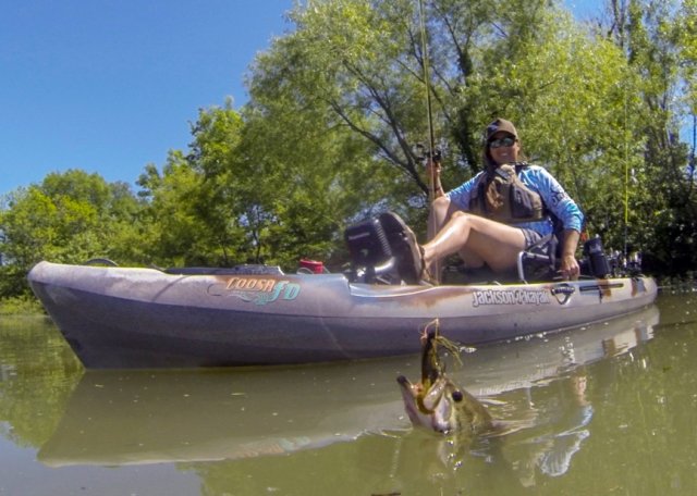 KayakAnglerMag's tweet photo. Did you miss our sneak peek at the @JacksonKayak Coosa FD? https://t.co/NXYdJWIIRX #pedaldrive #kayakfishing #kayakangler https://t.co/4HetOcDr2O