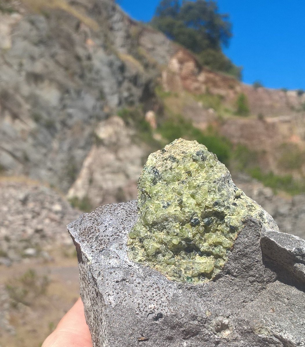 The Rock Library tweet media