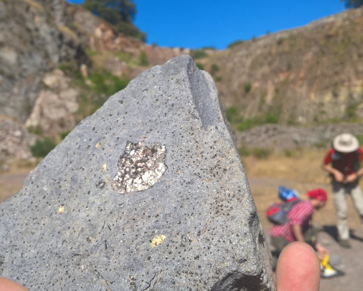 The Rock Library tweet media