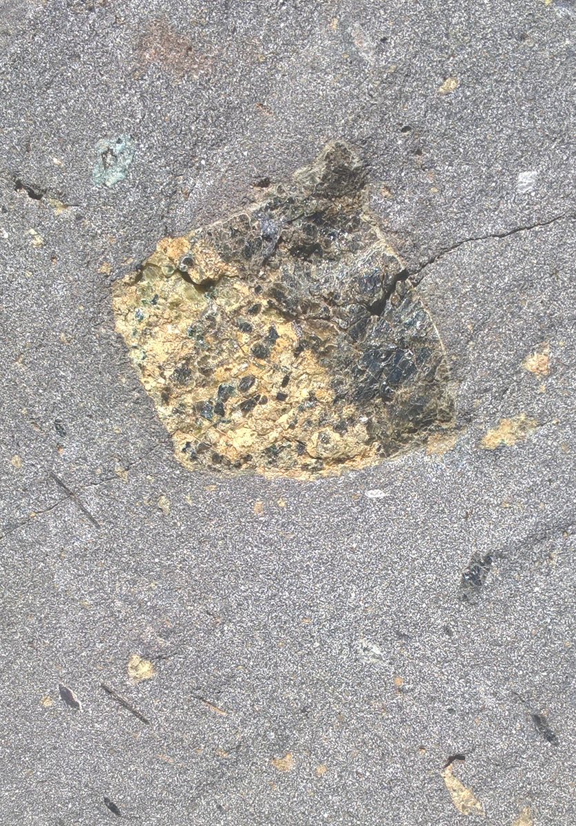 The Rock Library tweet media