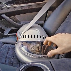 WaulStudio's tweet photo. Get Waul #Pet Carrier with a huge #DISCOUNT 90£ on #Kickstarter https://t.co/2y4HWO4cdB https://t.co/FY1rbt6Un2