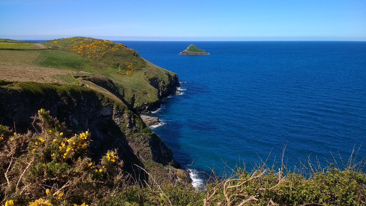 Vote_Real's tweet image. @ncornwallcappartners
Hi