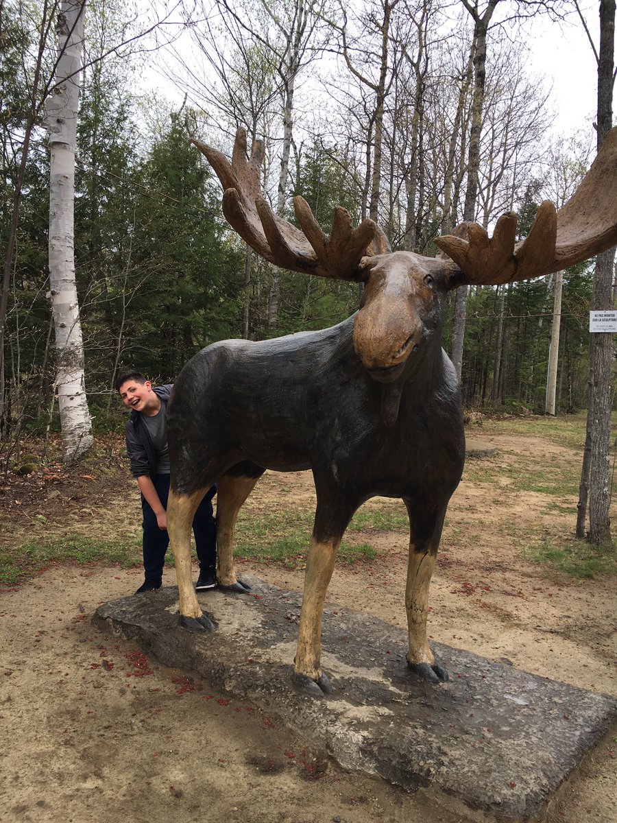 StVincentOak's tweet photo. Mason getting in touch with the wildlife here in Quebec. #hcdsb #QuebecTrip2017 @HCDSB https://t.co/oLm72u1yt1