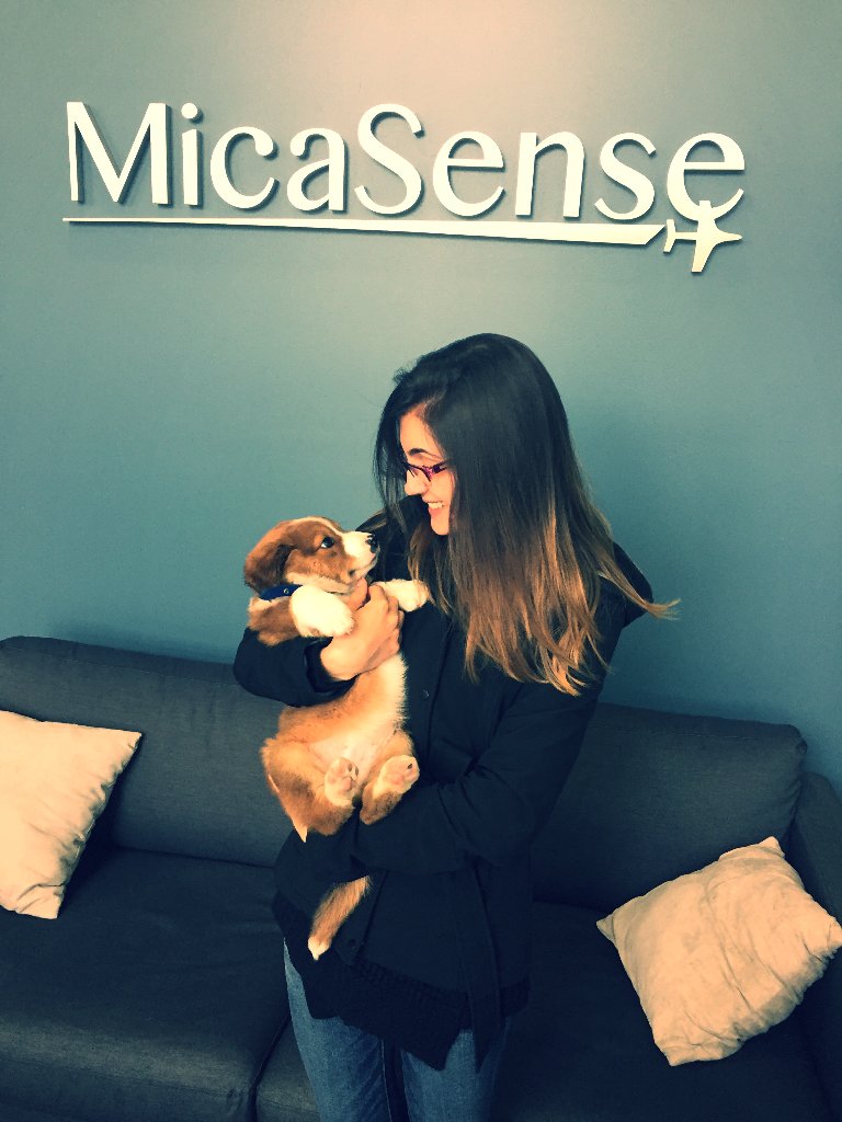 MicaSense's tweet image. Our newest team members getting to know each other! Welcome to the team Laura and Harrison! #MicaPup #ContentGenius #ChiefPuppyOfficer