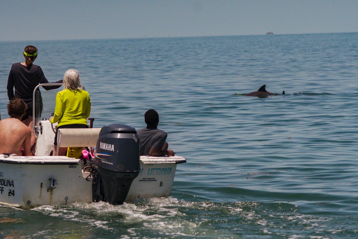 GC_COMM's tweet image. Our @GoshenCollege film students have been busy in the FL Keys. Follow along w/the Marine Bio blog. goshen.edu/blogs/category… #floridakeys