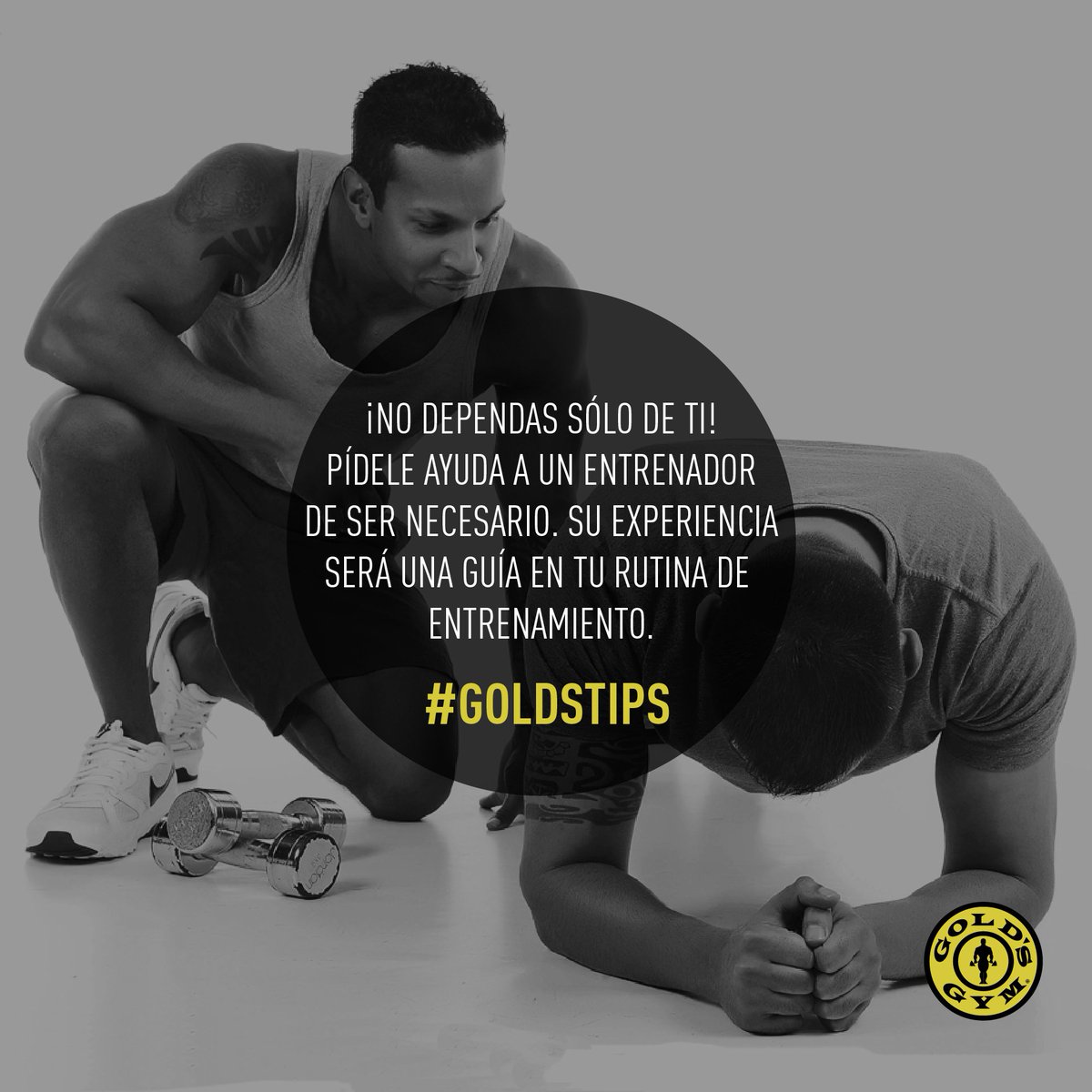 goldsgymec's tweet photo. #GOLDSTIPS ¡Atrévete a desafiar tus límites y no olvides buscar asesoría! Contamos con instructores para tu asistencia diaria #SOMOSGOLDS https://t.co/cqVLe2g4H2