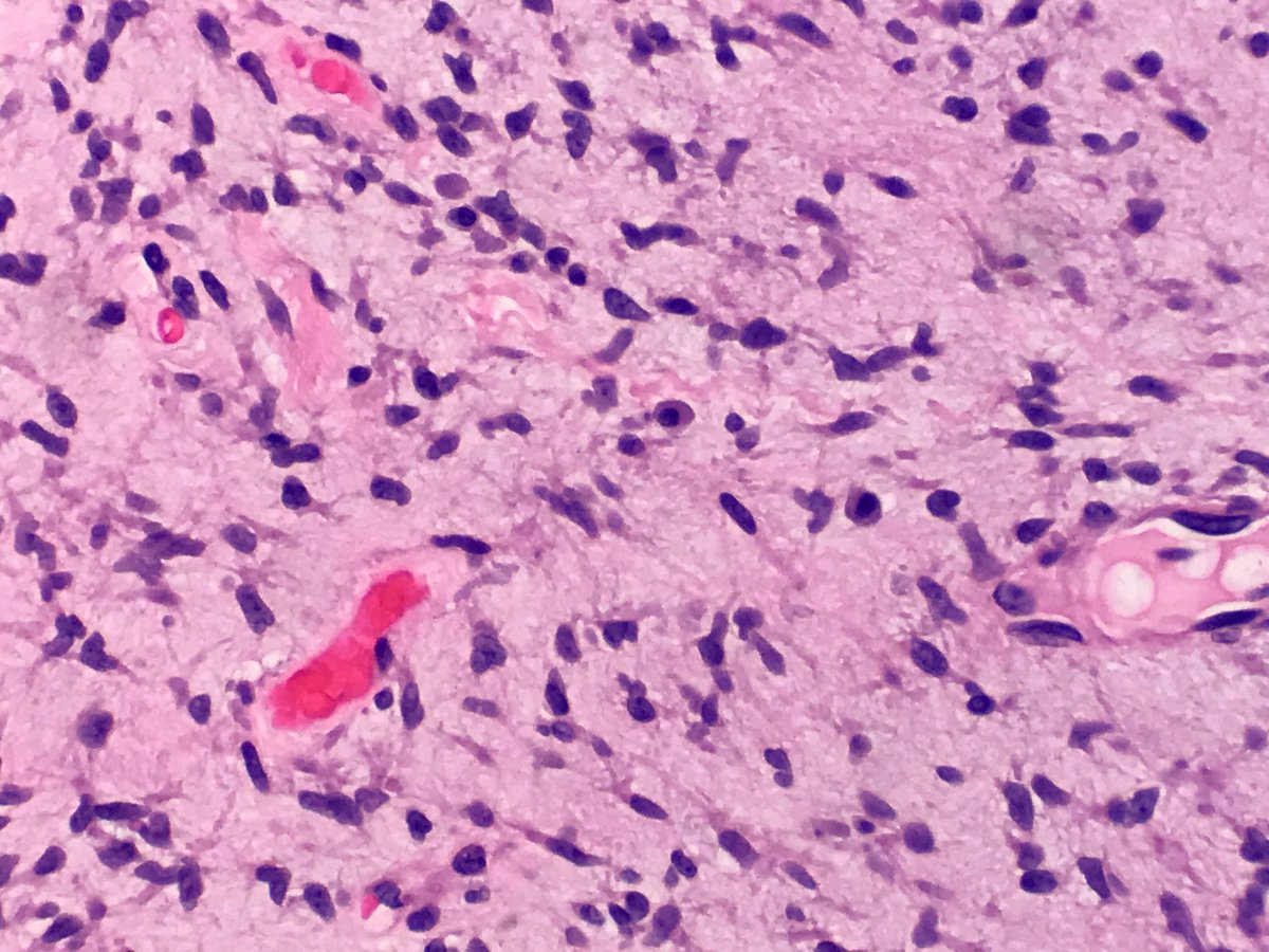 BSTPath tweet picture