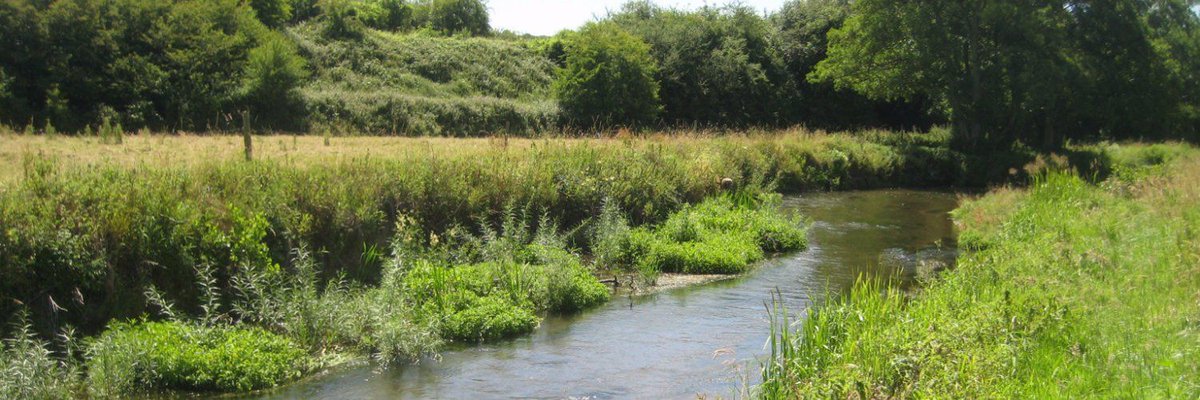 InvasiveAliens's tweet photo. #Invasivespecies in our #waterways contribute to #flooding and impact heavily on ecosystems. @EPAResearchNews https://t.co/4MRNtX5CYe https://t.co/gWuEgohCmh