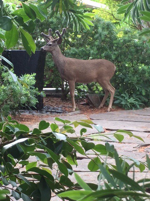 Jane Shaw tweet media