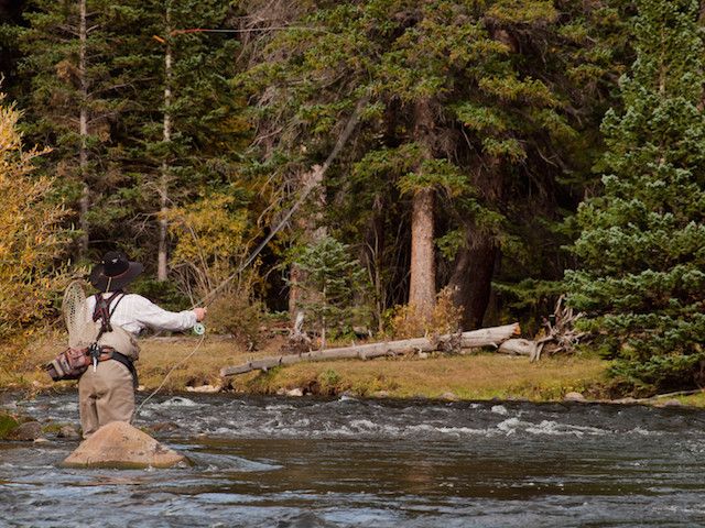 2guysandariver tweet picture