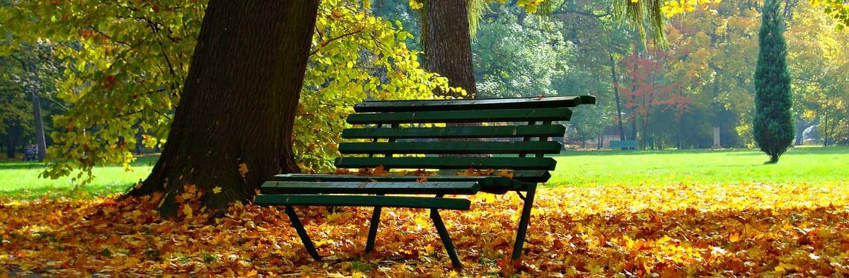 Regional_S's tweet photo. 4 very useful tips for getting your outdoor space ready for summer. #WeKeepItClean
https://t.co/5DUFl5T498 https://t.co/97sTrwxuCw