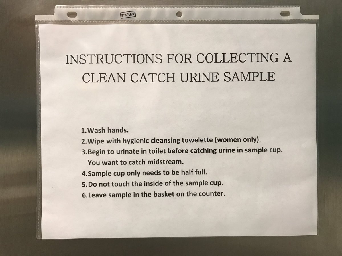 How Can I Clean Cat Urine From My Air Conditioner How Can I Clean Cat Urine From My Air Conditioner