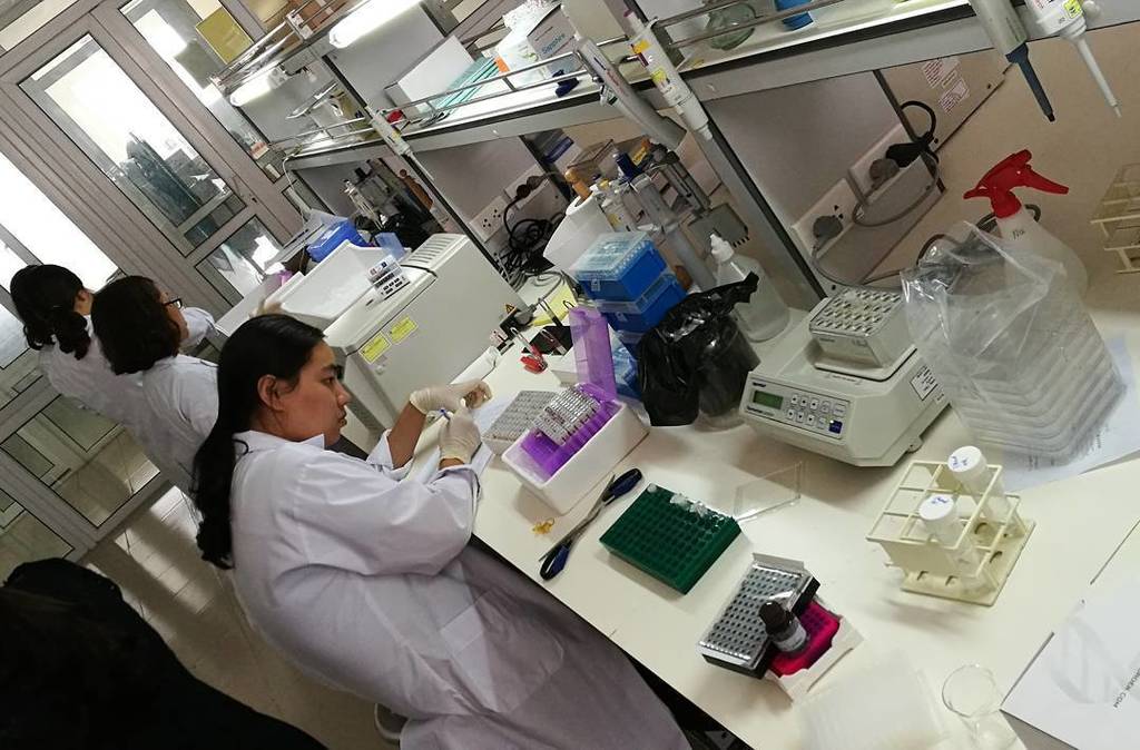 harmoniamonda's tweet photo. ベトナムのとある国立研究所の微生物学ラボ
#qiagen の純正キット多数 #qiacube とか realtime-pcr, サーマルサイクラーが10台近く、ポータブルのバッテリー式 #thermal cycler やなんやとガンガン使ってて同行の日本からの研究者がびっくりし… https://t.co/4QbGcByX8W