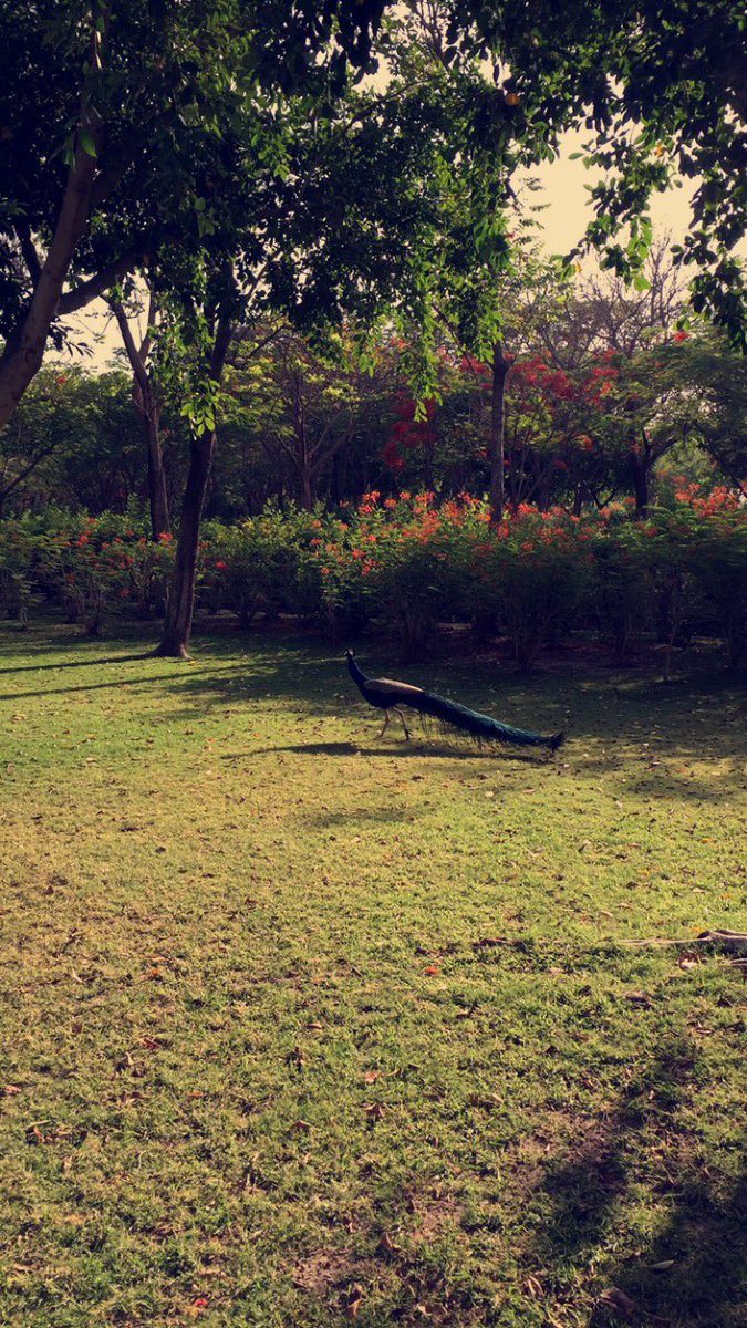 Great hotel, greater hospitality. Thank you @Tridentudaipur #TridentExperiences <a href="/TridentHotels/">Trident Hotels</a>