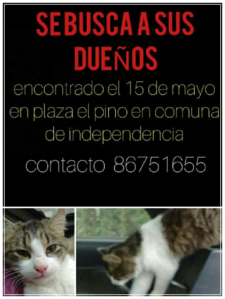 encontrado en #independencia