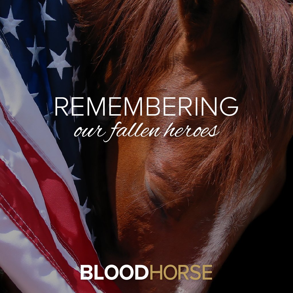 BloodHorse's tweet photo. https://t.co/PzDjOW3DX4