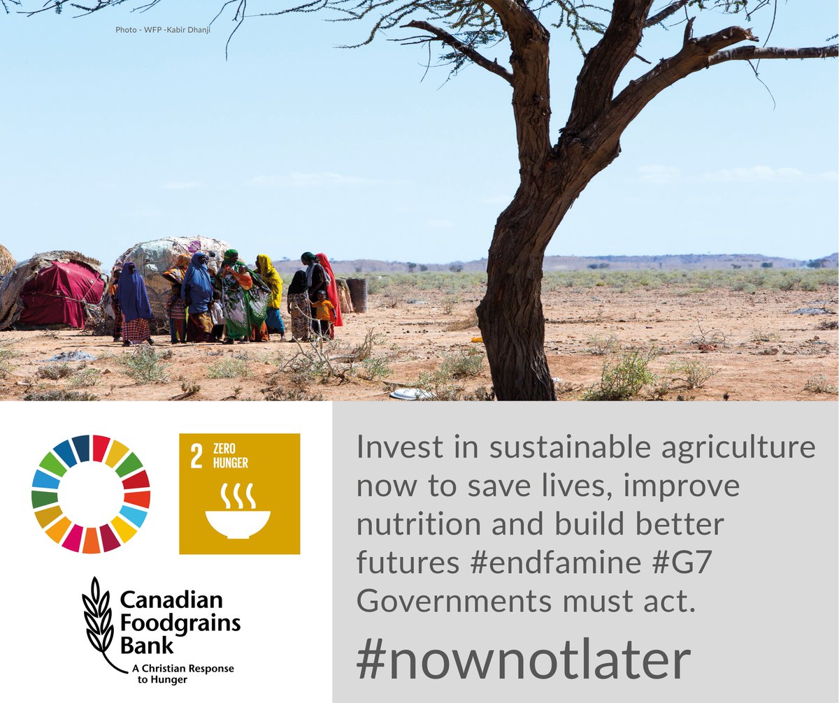 Foodgrains's tweet photo. Agriculture is key to helping end global hunger and famine #Aid4Ag #SDGs #nownotlater https://t.co/i1PHMByI99