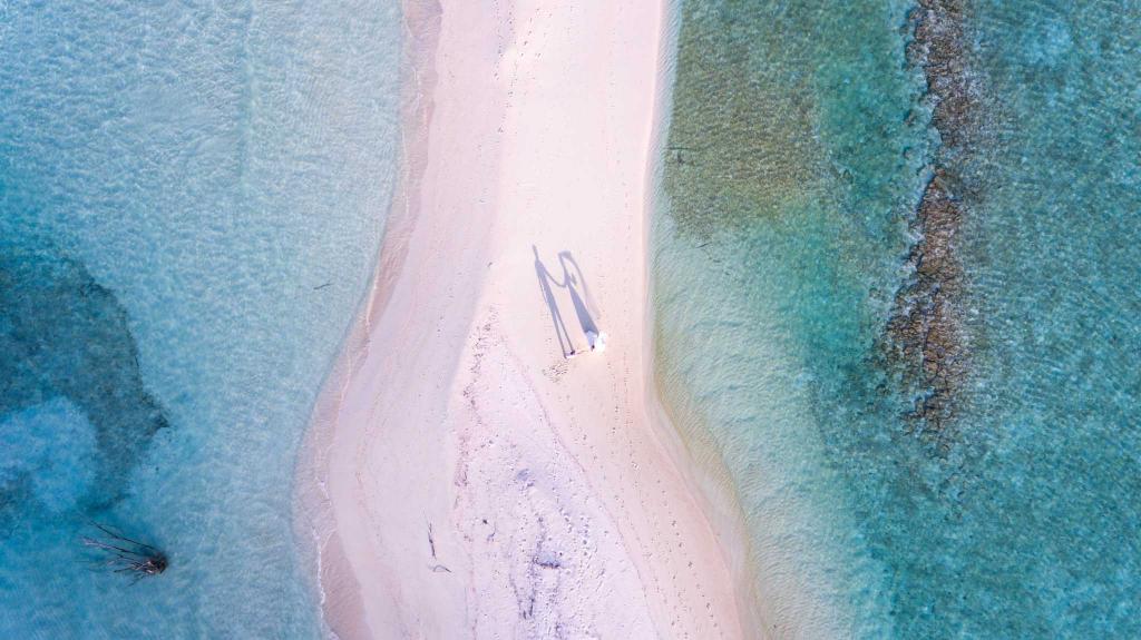splendidbooth's tweet photo. What to Wear to a #BeachWedding - here is some inspiration for you to bookmark:
https://t.co/rAtl1xlFs4 https://t.co/vjvKO8wHi3