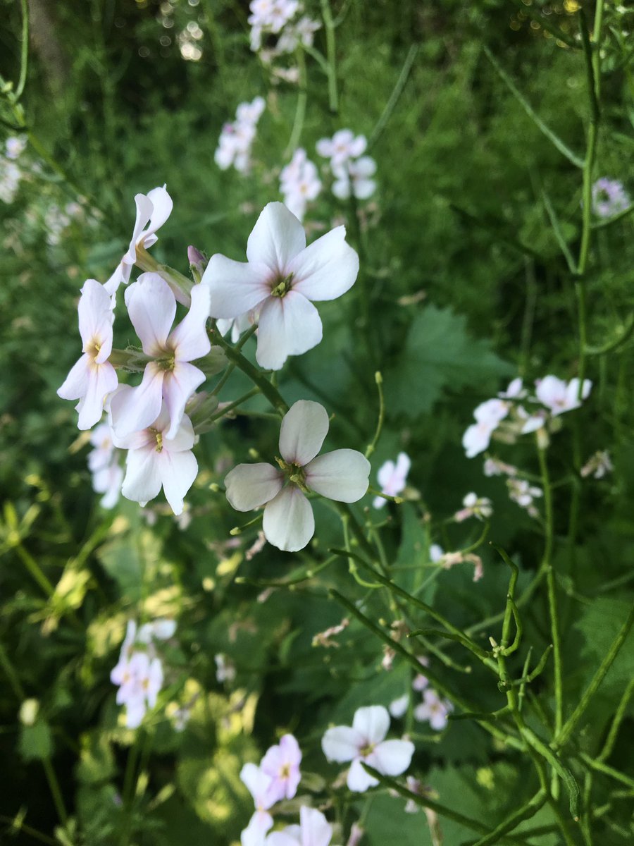 MissRobin1981's tweet image. 