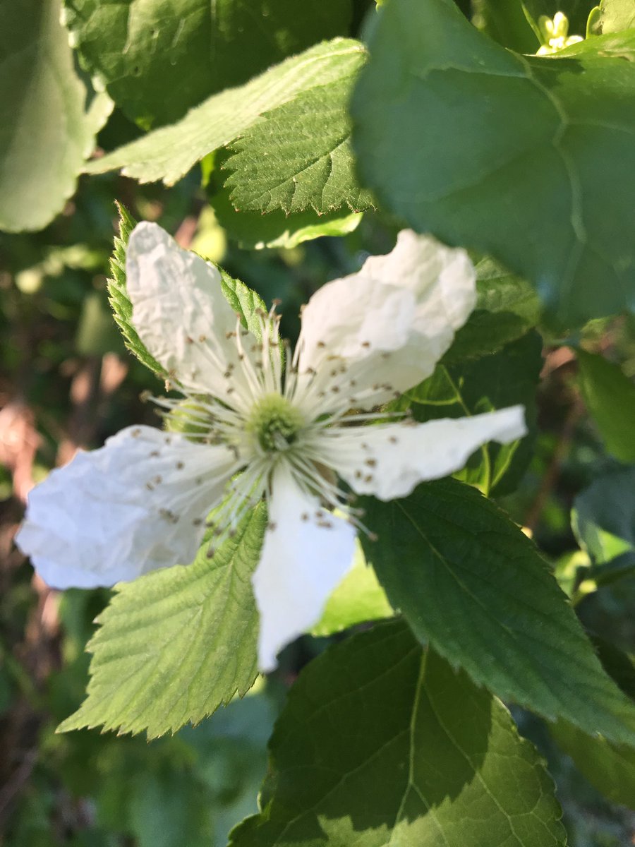 MissRobin1981's tweet image. 