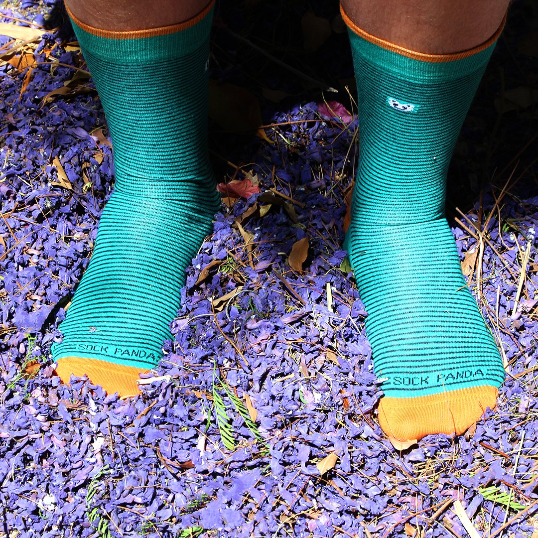 TheSockPanda's tweet photo. Spring is blooming all over, even on our feet. #ConversationSocks #SockSubscriptions #SockGame #Jacaranda https://t.co/3bq5EtYUe9