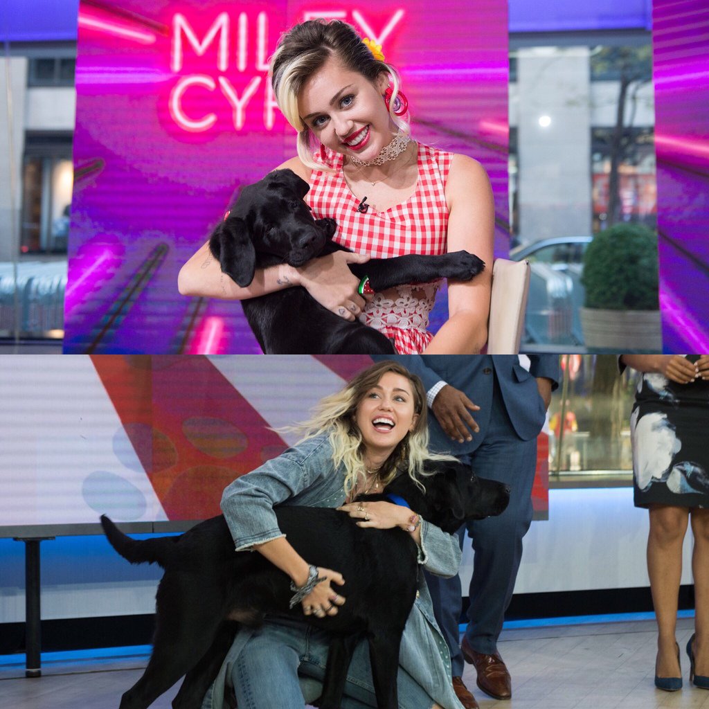TODAYPuppy's tweet photo. No matter how old I get, I will always love my friend @MileyCyrus! #TODAYPuppy https://t.co/tQti9NElvH