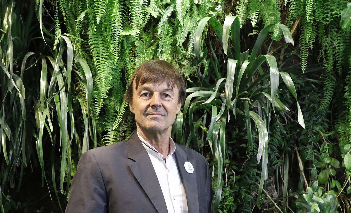 Valeurs's tweet photo. #gouvernement Après la nomination de Nicolas Hulot, EDF s’écroule en Bourse >> https://t.co/EVT2Aif4D4 https://t.co/4Aefr3FJqx