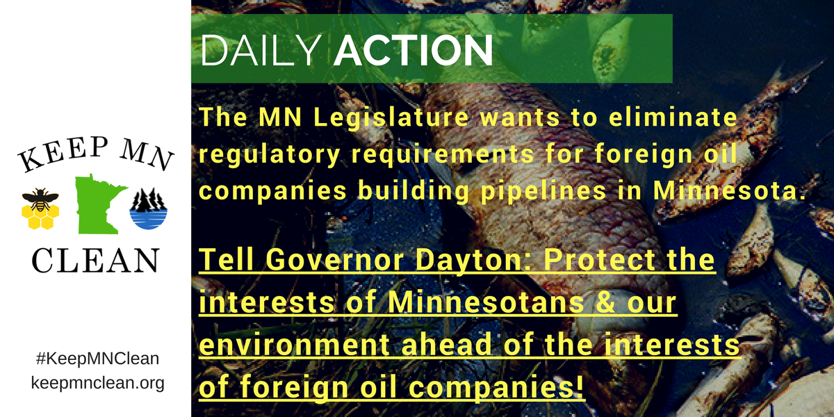 KeepMNClean's tweet image. Action: tell @GovMarkDayton to keep rejecting #mnleg efforts to reduce oversight for oil pipelines #KeepMNClean keepmnclean.org