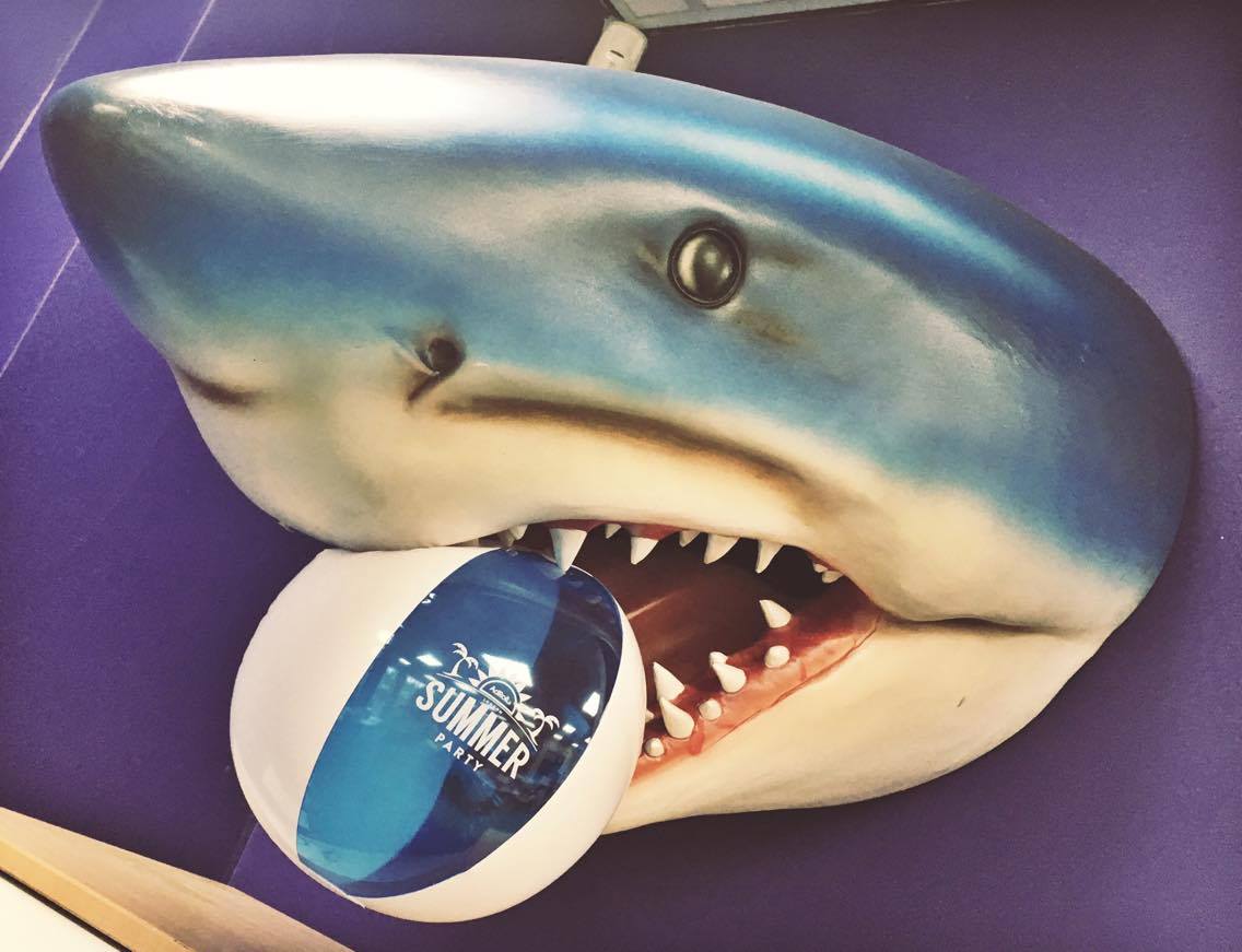 Sharkdesign1's tweet image. We can&apos;t wait to join our fab client @AdRoll at their annual summer party in June! #rollintosummer