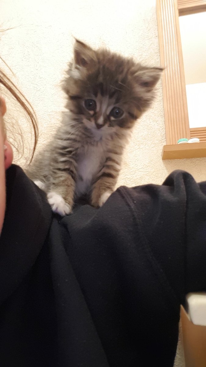CassEsau's tweet photo. How can you not love that face 😭😭 https://t.co/zJnCS3VwMR