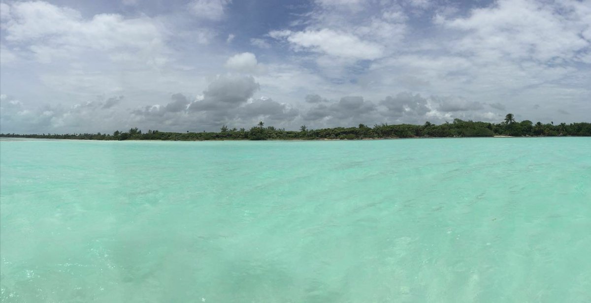 wanderlusteeer's tweet photo. Sian Ka'an... #Paraiso #Caribe #RivieraMaya #Mexico #nostalgia https://t.co/w6JxfPiwhH