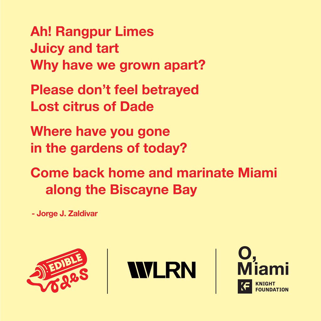 MameyDisco's tweet photo. @RecipesLost Where have you gone in the gardens of today? Come back home &amp; marinate Miami along the Biscayne Bay #EdibleOdes #RFCI @omiamifestival @WLRN https://t.co/ffgi2j8hEI