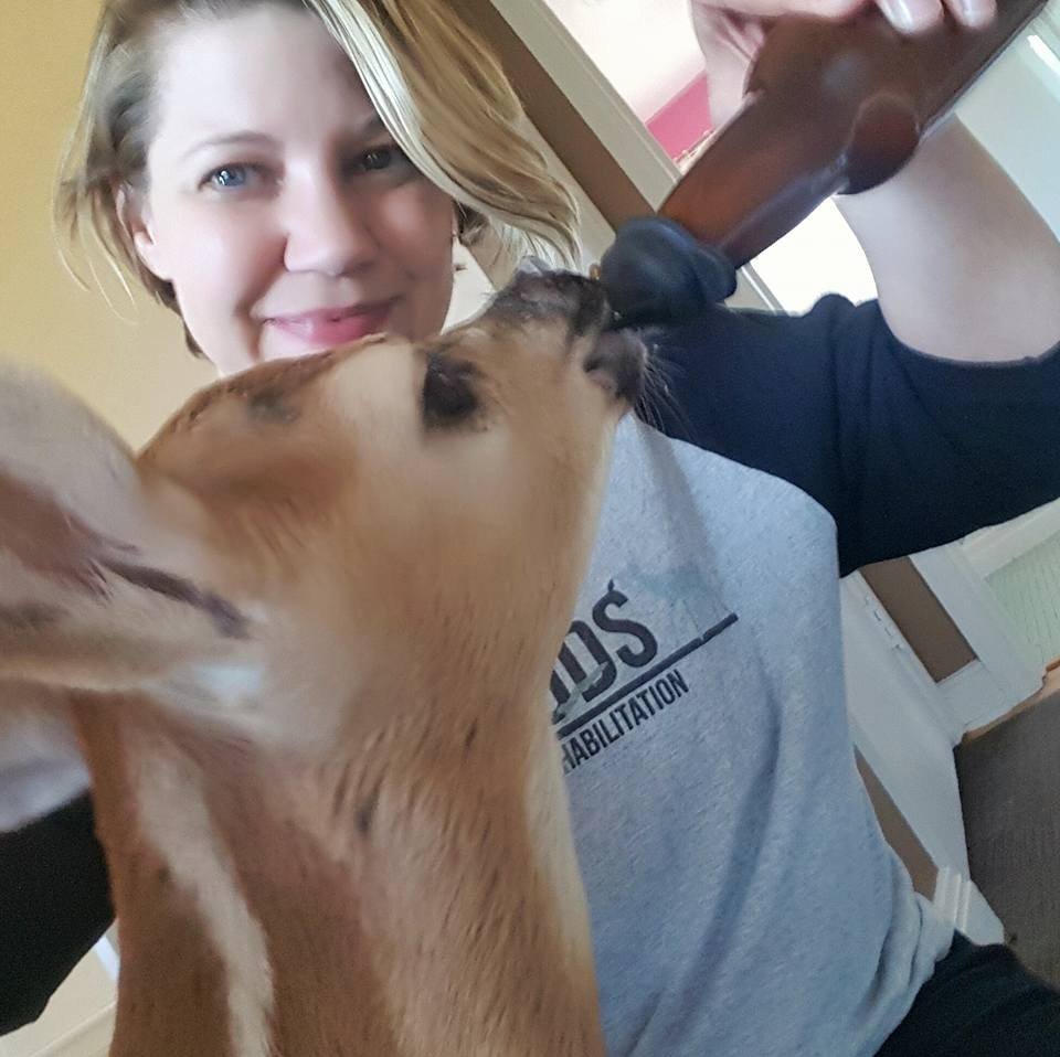 Good intentions lead to fawn-napping
bit.ly/2qS8y1E