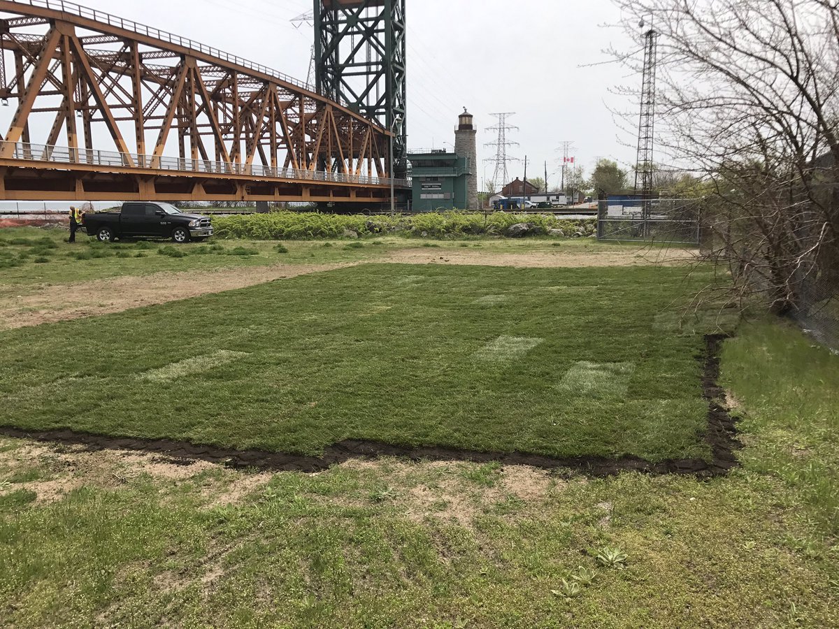 Troy Edwards tweet media