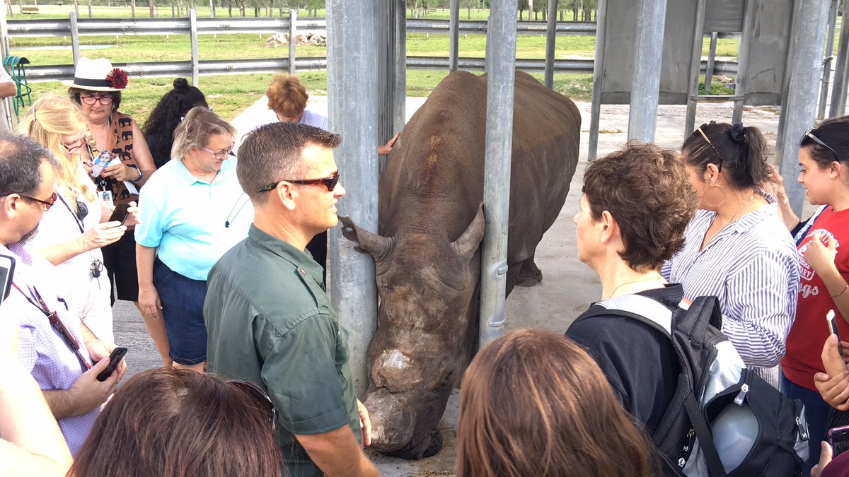 PBCSTEM's tweet image. Thank you @BusOneLLC &amp;amp; @LionCountry for making our amazing behind the scenes tour possible! #BuckRocks