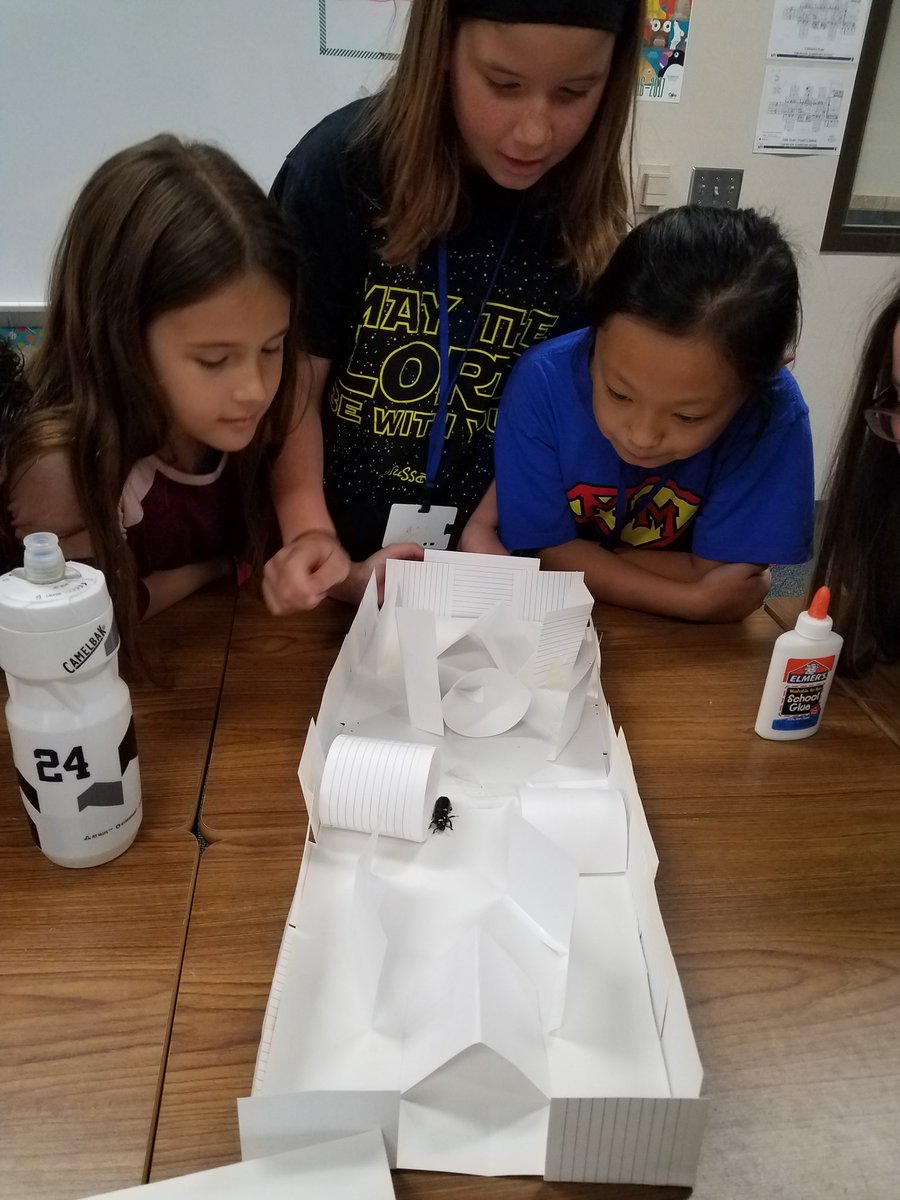 JenniferBain85's tweet photo. Bess bug beetle stem fun!!! Designing obstacles courses for our bug friends. @TWEHowl #twehowl https://t.co/uycoX6jT4t