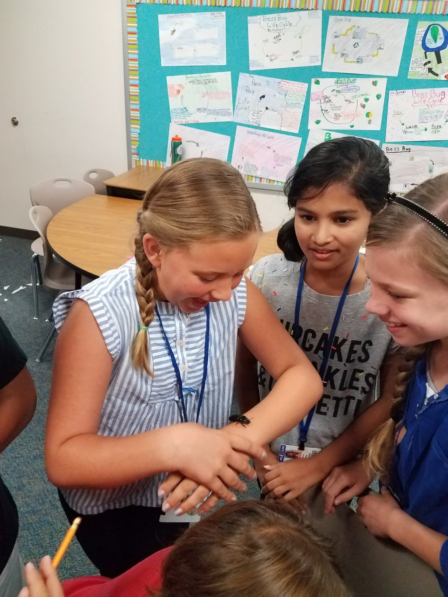 JenniferBain85's tweet photo. 4th grade loves Bess bug beetles! Learning about life cycle of bugs @TWEHowl #twehowl https://t.co/9JpogdAkRX