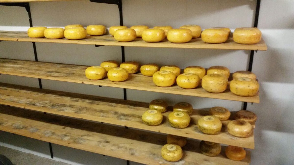 PCBODrAlgra's tweet photo. Vandaag brachten de groepen 3 een bezoek aan de #kaasboerderij in #Ryptsjerk #fryskewike https://t.co/ZKy2DLpqwB