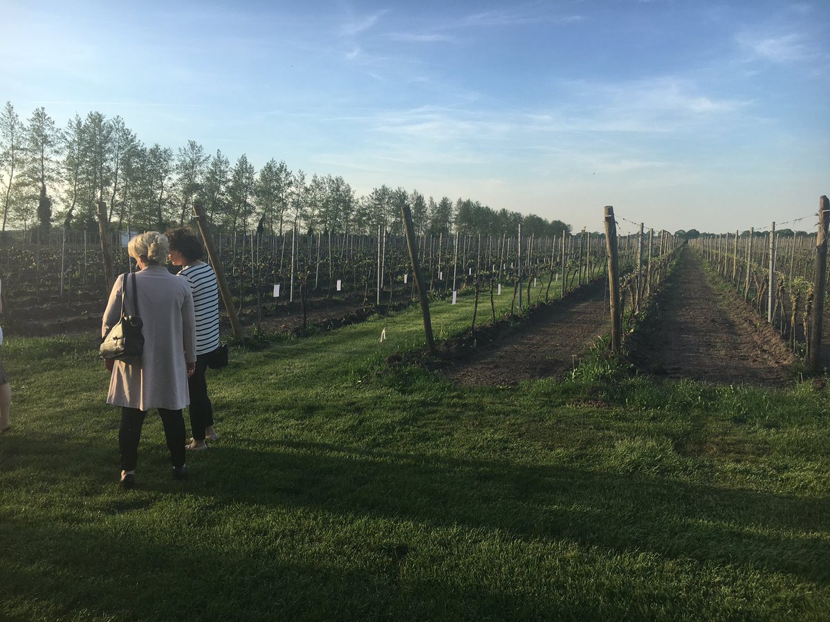 henriette2day's tweet photo. Met  inspiration4women, ons vrouwelijke ondernemersnetwerk bij de Reestlandhoeve in Balkbrug @RaboVVS https://t.co/2VwYmJBwRv